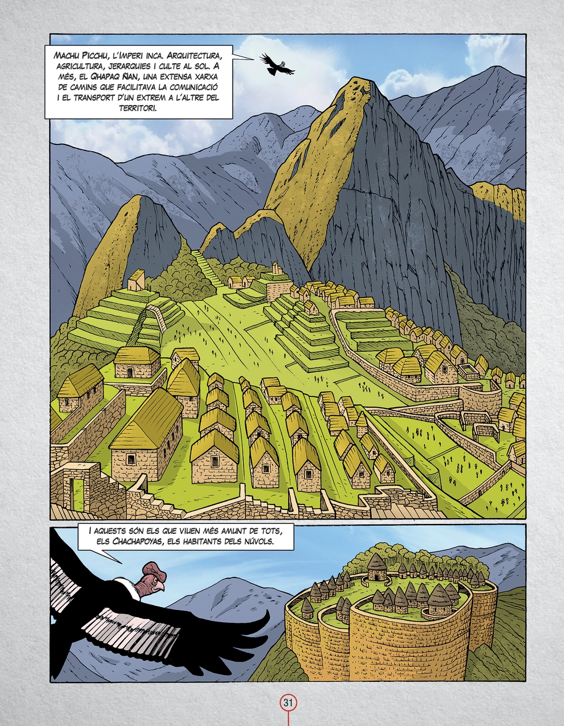 Historia Humanitat vol. 8 - CAT - P3
